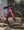 Cervelo Aspero GRX RX610 1