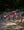 Cervelo Aspero GRX RX610 1