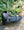 Fizik Terra Atlas Black