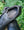 Fizik Terra Atlas Black