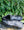 Fizik Terra Atlas Black