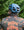 Kask Protone Forest Green
