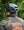 Kask Protone Matte Black