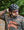 Kask Protone Matte Black