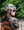 Kask Sentisi Sahara