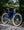 Marin Madrone Trail