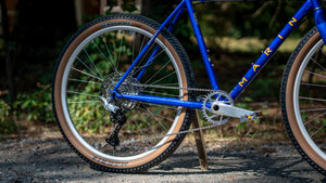 Marin Madrone Trail