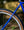 Marin Madrone Trail