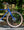 Marin Madrone Trail