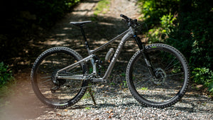 Marin Tam 1