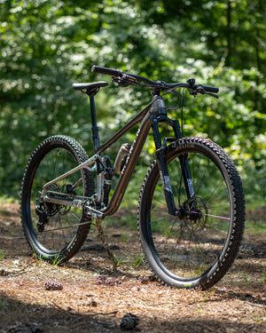 Marin Tam 1
