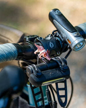 Close-up of a bicycle handlebar with brake lever, gear shifter, a dino, and light.