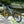 Norco Revolver FS C3 130