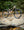 Norco Revolver LT C3 Khaki Brown