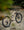 Norco Revolver LT C3 Khaki Brown