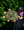 Outpost Adventure Club Eat Trash Ride Free Patch