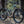 Pivot Trailcat SL Pro XT/ XTR