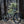 Pivot Trailcat SL Pro XT/ XTR