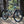 Pivot Trailcat SL Pro XT/ XTR