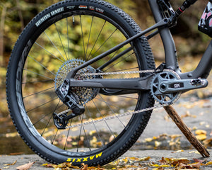 Santa Cruz Blur GX AXS