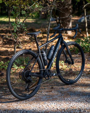 Santa Cruz Stigmata 4 CC Apex