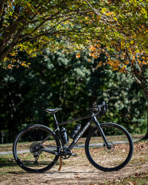 Santa Cruz Stigmata 4 CC Apex