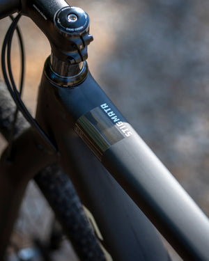 Santa Cruz Stigmata 4 CC Apex