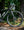 Santa Cruz Stigmata Apex Matte Carbon
