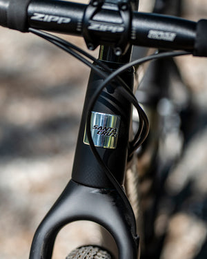 Santa Cruz Stigmata Apex Matte Carbon