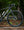 Santa Cruz Stigmata Rival 1x AXS