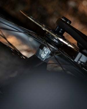 Santa Cruz Stigmata Rival 1x AXS