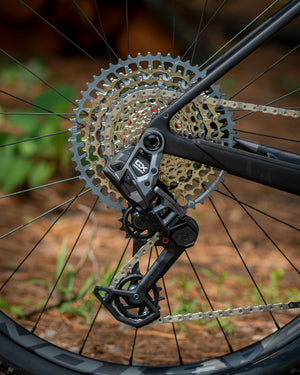 Santa Cruz Stigmata Rival 1x AXS