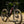 Santa Cruz Tallboy GX AXS Gloss Black