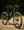 Santa Cruz Tallboy GX AXS Gloss Black