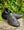 Shimano XC302 Black