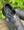 Shimano XC302 Black