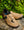 Shimano XC302 Brown