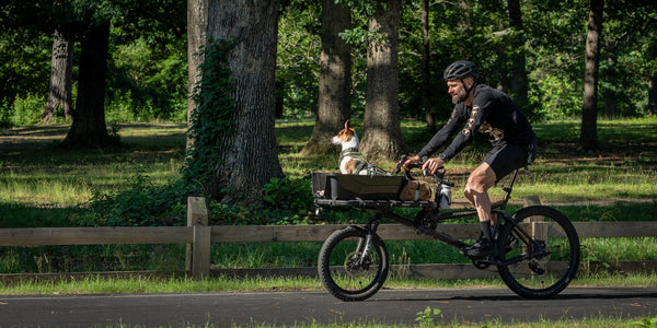 Bike Check; Braden and Sparky's Hase Gravit Dust.