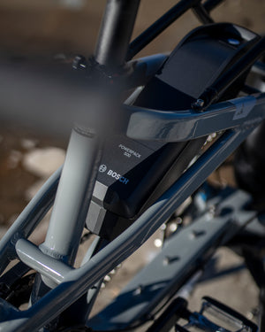 Tern Quick Haul Long D9