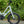 Tern Quick Haul Long D9