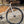 Veloci Cycle Old Street Grey Large Fixed