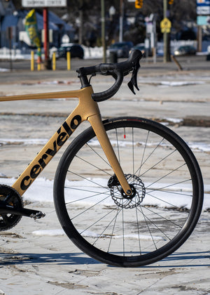 Cervelo Soloist 105 Mechanical 2024 Gold Dust