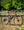Fairdale Weekender Nomad Gloss Purple