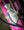 Fairdale Weekender Nomad Gloss Purple