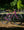 Fairdale Weekender Nomad Gloss Purple