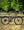 Fairdale Weekender Nomad Gloss Purple