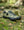 Fizik Terra Atlas Army Green