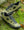 Fizik Terra Atlas Army Green