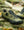 Fizik Terra Atlas Army Green