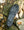 Fizik Terra Atlas Army Green